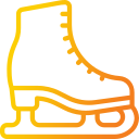 Skating Rink in School – Overview